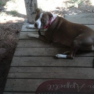 Meet your Posher, Dana